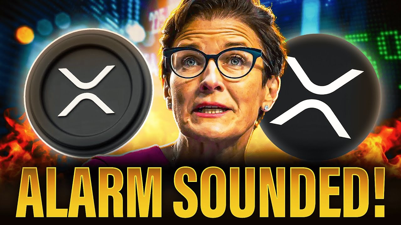 Citi Bank CEO Just Sounded The Alarm | Huge Ripple XRP News