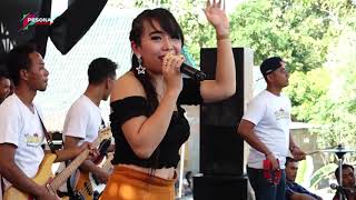 Cobra Mania - ( Demi Koe Ana - Shintya ft New King Star