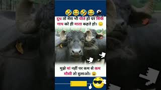 Andhbhakt Funny Viral Video 🚩🐄 Gou mata Ki Jai 🤣🤣