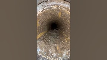 Nasty Vent Clean 🌊🐸(Satisfying) #dryerventcleaning #oddlysatisfying #cleaning #satisfying #laundry