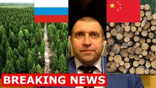 Дмитрий ПОТАПЕНКО - Вырубка лесов китайцами в Сибири Дмитрий ПОТАПЕНКО - Вырубка лесов китайцами в Сибири
