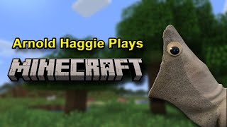 Arnold Haggie Plays Minecraft