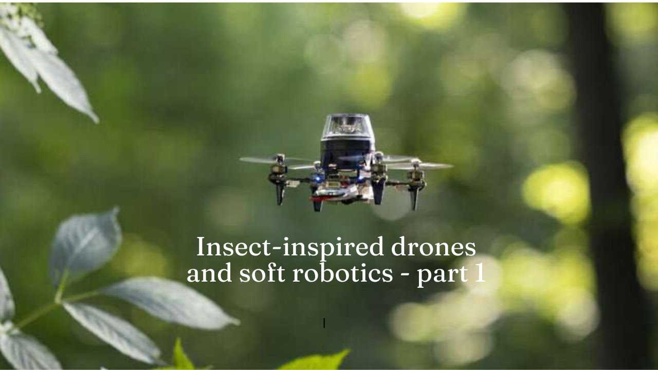 Insect-inspired drones and soft robotics - part 1