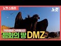 평화의 땅 DMZ - 자연 생태 다큐멘터리 영상 "DMZ 60년, 이제는 생명이다"