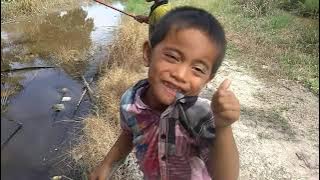 Bocil strike ikan gabus