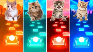 Cute Cats: Imagine Dragons (Enemy x Believer)  BTS (Savage Love x Fake Love) | Tiles Hop