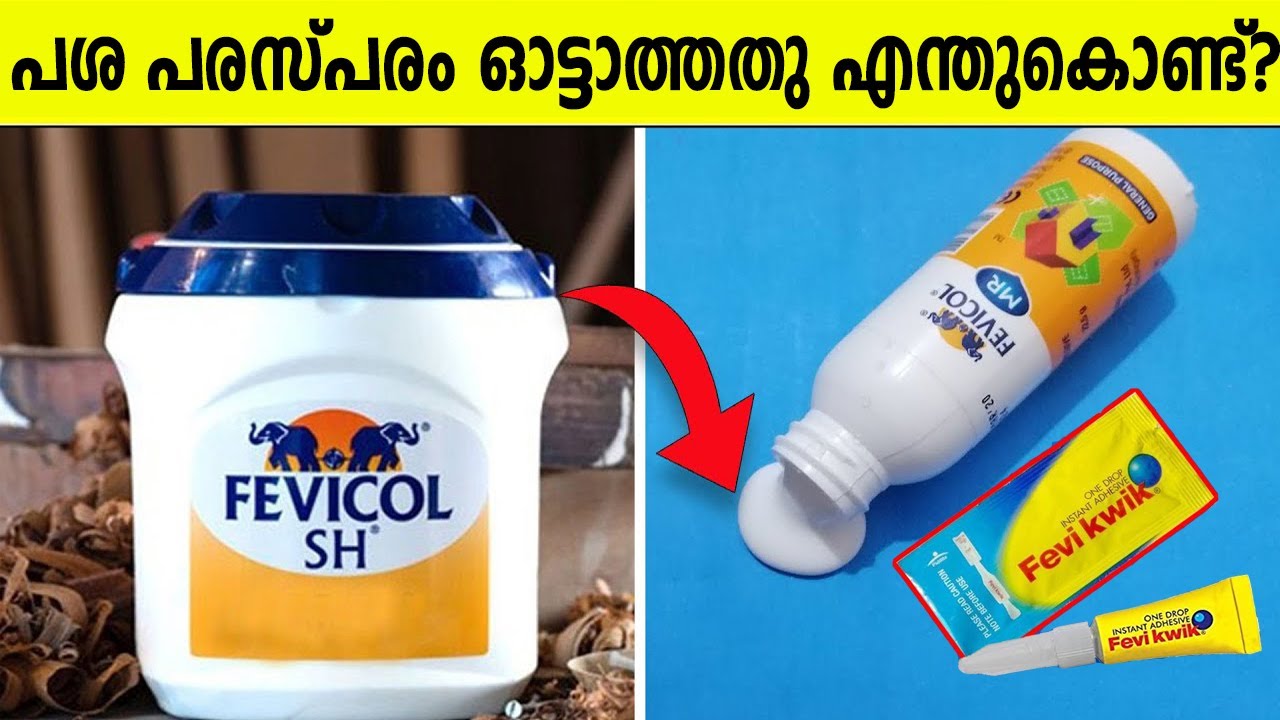 എന്തുകൊണ്ടാണ് ഫെവിക്വിക്കിലെ പശ ട്യൂബിന്റെ അകത്തുവച്ച് ഒട്ടിപിടിക്കാത്തത് | Random Facts Part 24