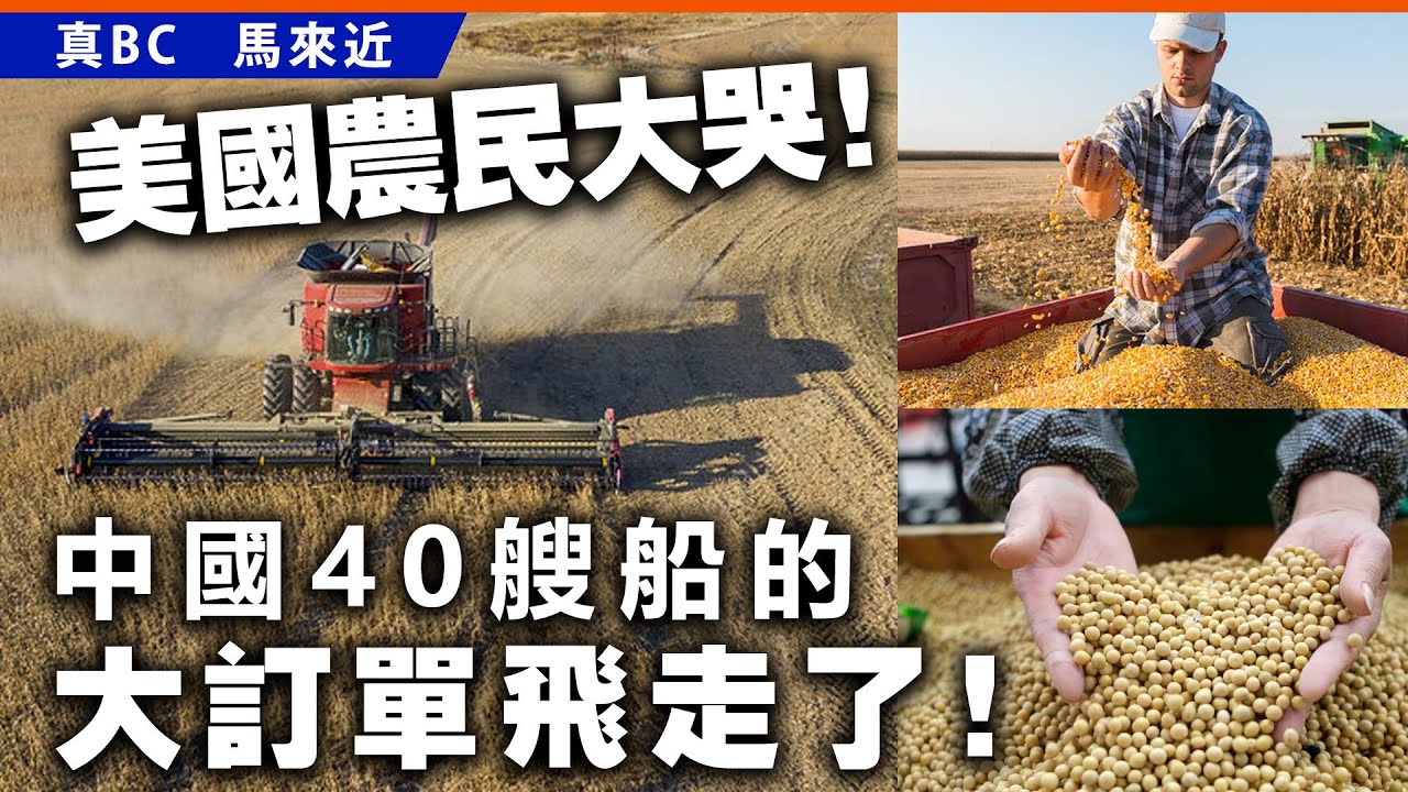 20250415B 美國農民大哭!中國40艘船的大訂單飛走了!