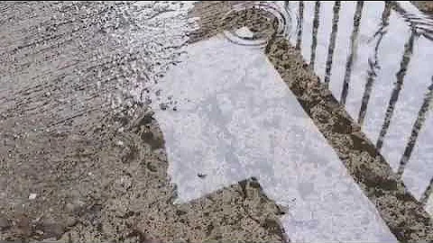 How to find Tardigrades in concrete!