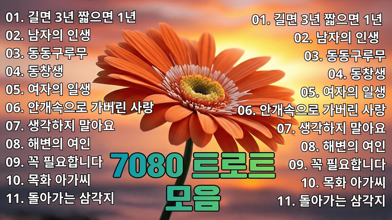 좋은 트로트메들리 📀 잊혀진 듯 지나간 시간 속에서 다시 만나는 옛 노래 🌸 추억을 되살리는 감성 컬렉션