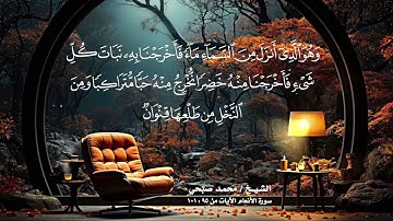 ما تيسر من سورة الأنعام للقارئ | محمد صبحي  #قران_كريم  #holy_quran