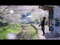 (154) 初恋駅  グレープ                               アルバム『生命の樹~Tree of Life〜』より