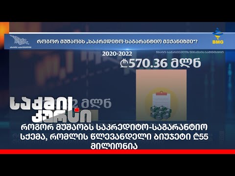 როგორ მუშაობს საკრედიტო-საგარანტიო სქემა, რომლის წლევანდელი ბიუჯეტი ₾55 მილიონია