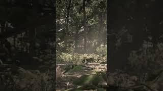How to Get Stealth Bow Kills - Weapon Expert 9 #rdr2 #shorts #pcgaming
