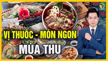 6 vị thuốc, 4 món ăn tốt cho sức khoẻ nên dùng vào mùa thu - KHỎE TỰ NHIÊN