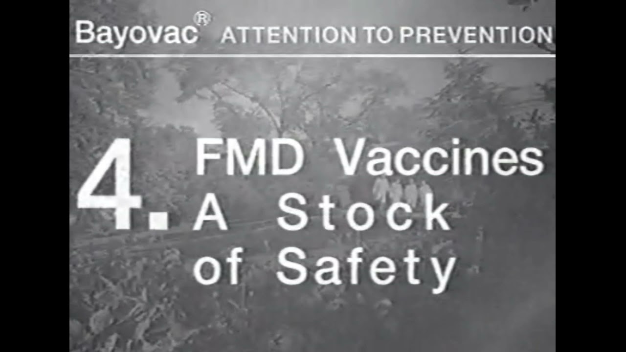 Фильм о Ящуре. Bayer. Foot-and-mouth-disease