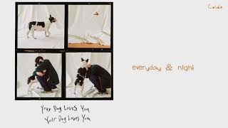 Colde - Your Dog Loves You (Feat. Crush) lyrics (HANGUL/ROMANIZATION/ENGLISH) chords