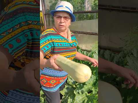 Куда деваешь кабачки? Они даже вырастать не успевают! Вкуснятина из кабачков.