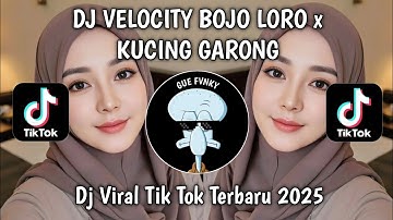 DJ VELOCITY BOJO LORO x KUCING GARONG VIRAL TIKTOK❗FULL BASS TERBARU