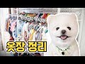 달리의 드레스룸을 공개합니다 | 강아지 옷장 만들기