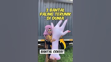 3 Bantal Paling Terunik Di Dunia (Nomor 3 Bentuknya Unik Banget)