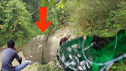 Một ngày câu suối cá ăn nhiều quá