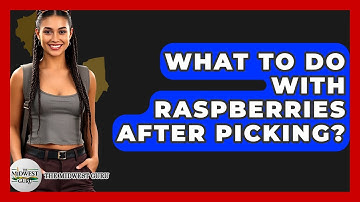 What To Do With Raspberries After Picking? - The Midwest Guru