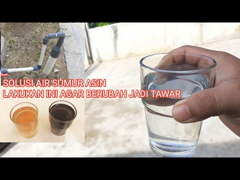 Video: Apakah ikan air tawar atau air asin berbau?