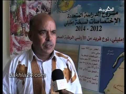 حول اليوم الدراسي لسبخة امليلي على قناة العيون