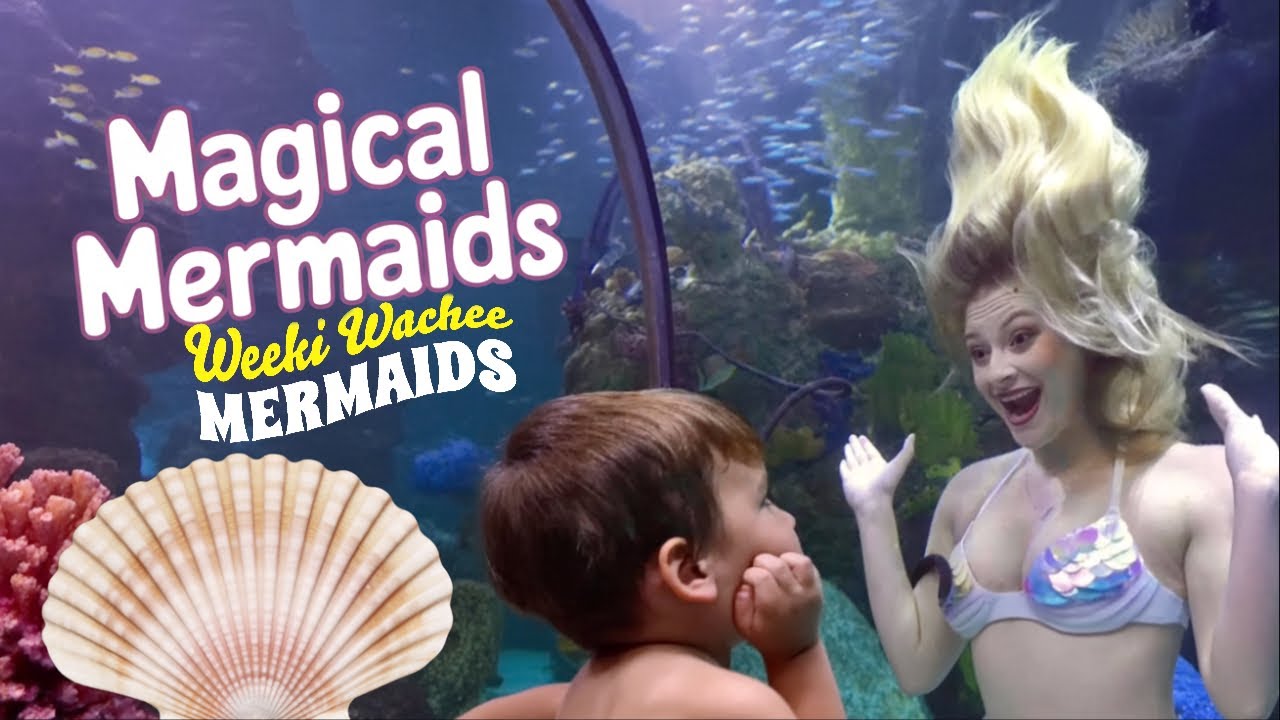 Weeki Wachee Mermaids Aquarium Visits