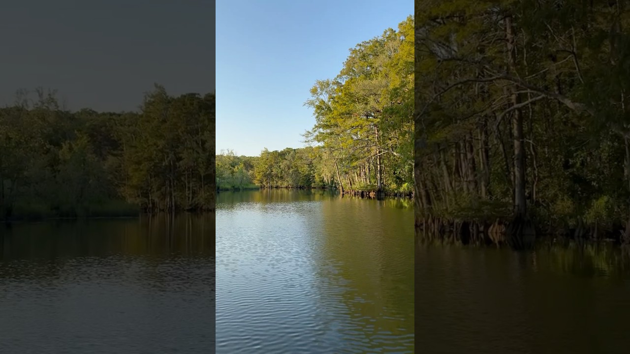 Night one of our 2025 Bama Gator hunt. 