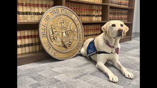 Facility Dog Program-Paws for Justice-Office of the Prosecutor Coordinator-State of Arkansas