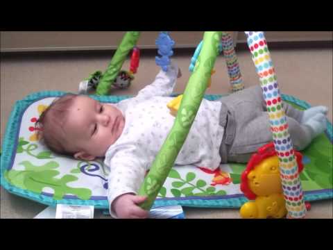 fisher price babygym 3 in 1