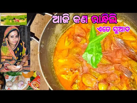 ଆଜି କଣ ରୋଷେଇ ହେଇଚି ଚାଲିଛି ବିଲ କାମ @subhalaxmiexpress0934