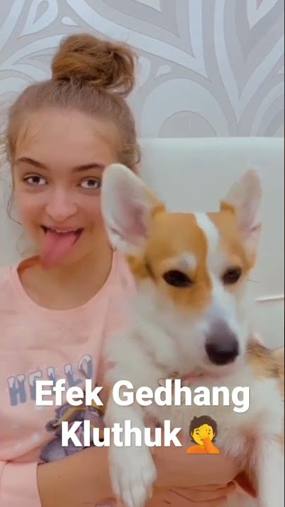 Efek Gedhang Kluthuk hari ini 🤦🤦🤣🤣 #fyp #viral #fypシ #efek #gedhang #lucu #kluthuk