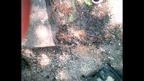 Ralph Inaugural Drone Flight HT-F801C