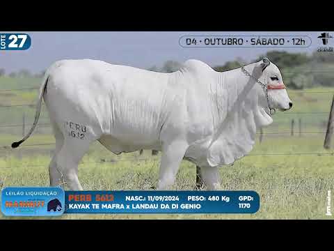 LOTE 27   PERB 5612