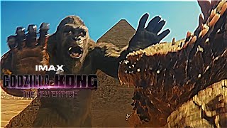 Godzilla \& Kong Fighting Scene in Egypt | Godzilla X Kong: The New Empire