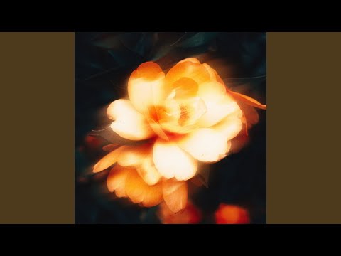 Spring Flowers (feat. Sonny Zero)