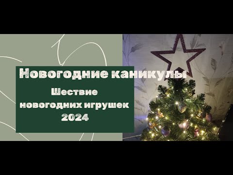 Новогодние каникулы.Шествие новогодних игрушек в Новосибирске 2024 #Новосибирск