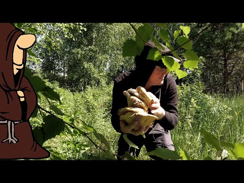 Два ведра Груздей