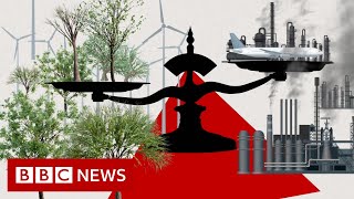 Can carbon offsetting help the planet? - BBC News