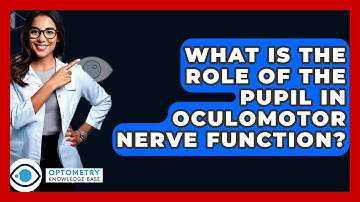 What Is The Role Of The Pupil In Oculomotor Nerve Function? - Optometry Knowledge Base