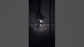 اكتب شيء تؤجر عليه ❤ القارئ عبدالرحمن مسعد🌹 #قران_شاشة_سوداء #quran #ارح_قلبك #كرومات_شاشه_سوداء