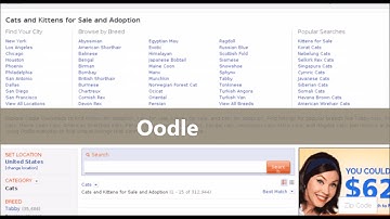 6 best backpage alternatives for classified listing