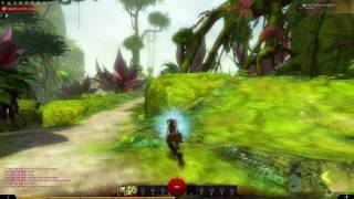 [Guild Wars 2] Salad man does violent things