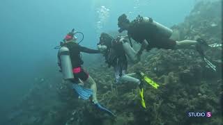 'In the water... disabilities disappear.' The adaptive scuba program changing lives