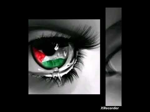 فلسطين  اغنية فلسطين بلادي بدون موسيقى