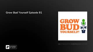 Grow Bud Yourself Episode 81
