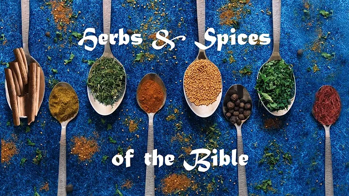 圣经中的草药和香料揭秘